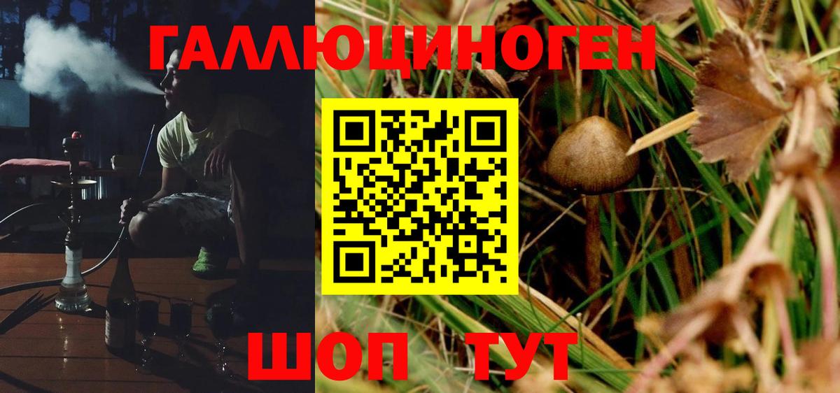 Галлюциногенные грибы MAGIC MUSHROOMS Дмитров